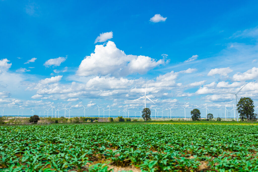 Wind turbines generating clean energy in a sustainable energy farm.